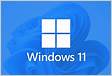 Windows 11 como resolver problemas com código 0x